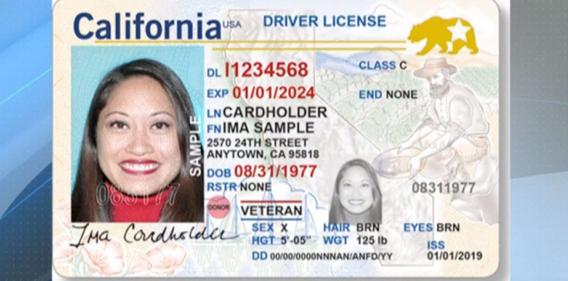 Document Number On Drivers License California Coolbfiles